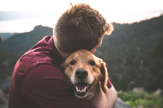 Tips de Cuidado para Tus Mascotas