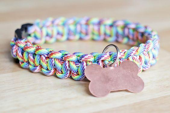 COLLARES PARA PERROS