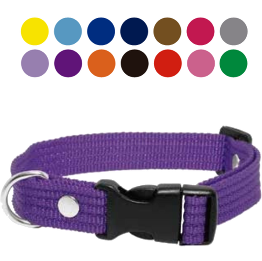 Collar Laes Liso Grueso Para  Perro