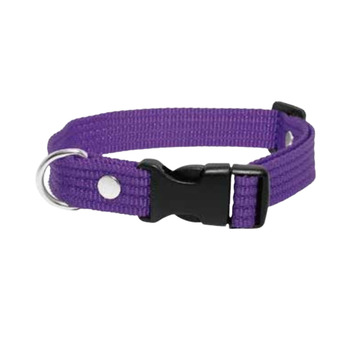 Collar Laes Liso Grueso Para  Perro