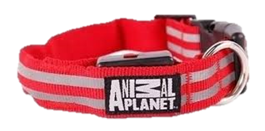 PET DOG COLLAR LED ANIMAL PLANET