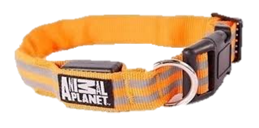 PET DOG COLLAR LED ANIMAL PLANET