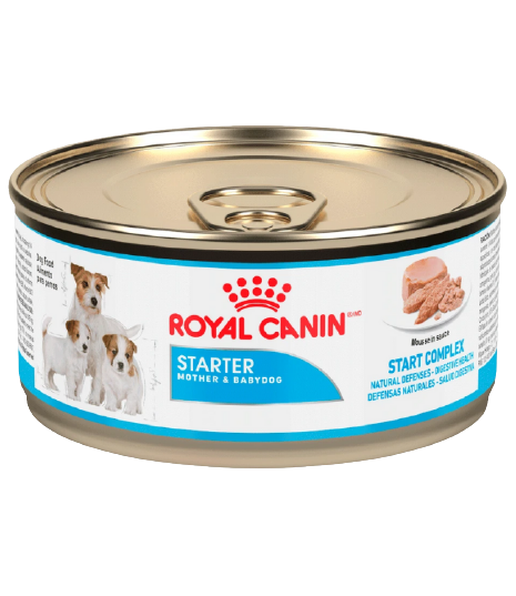 ROYAL CANIN STARTER MOUSSE LATA DE 0.165 KG