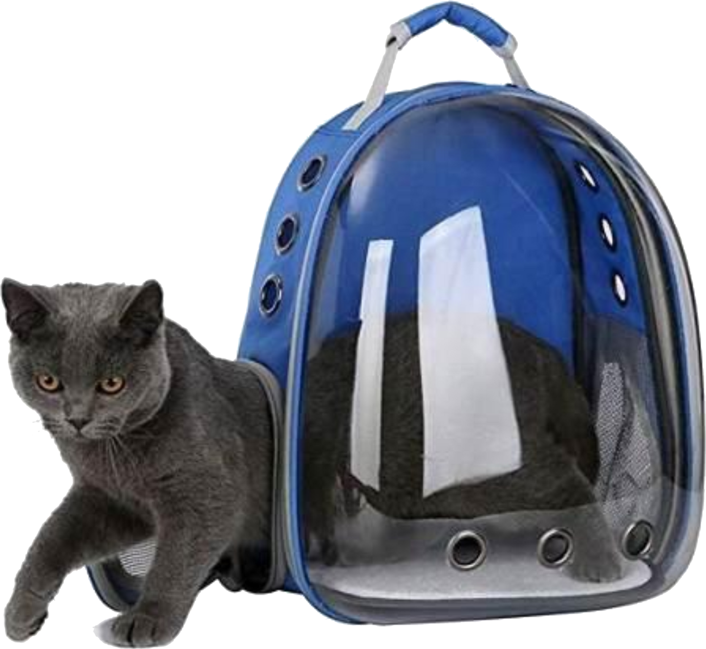 MOCHILA TRANSPORTADORA CON RESPIRADORES TRANSPARENTE PARA GATOS Y PERROS MASCOTAS