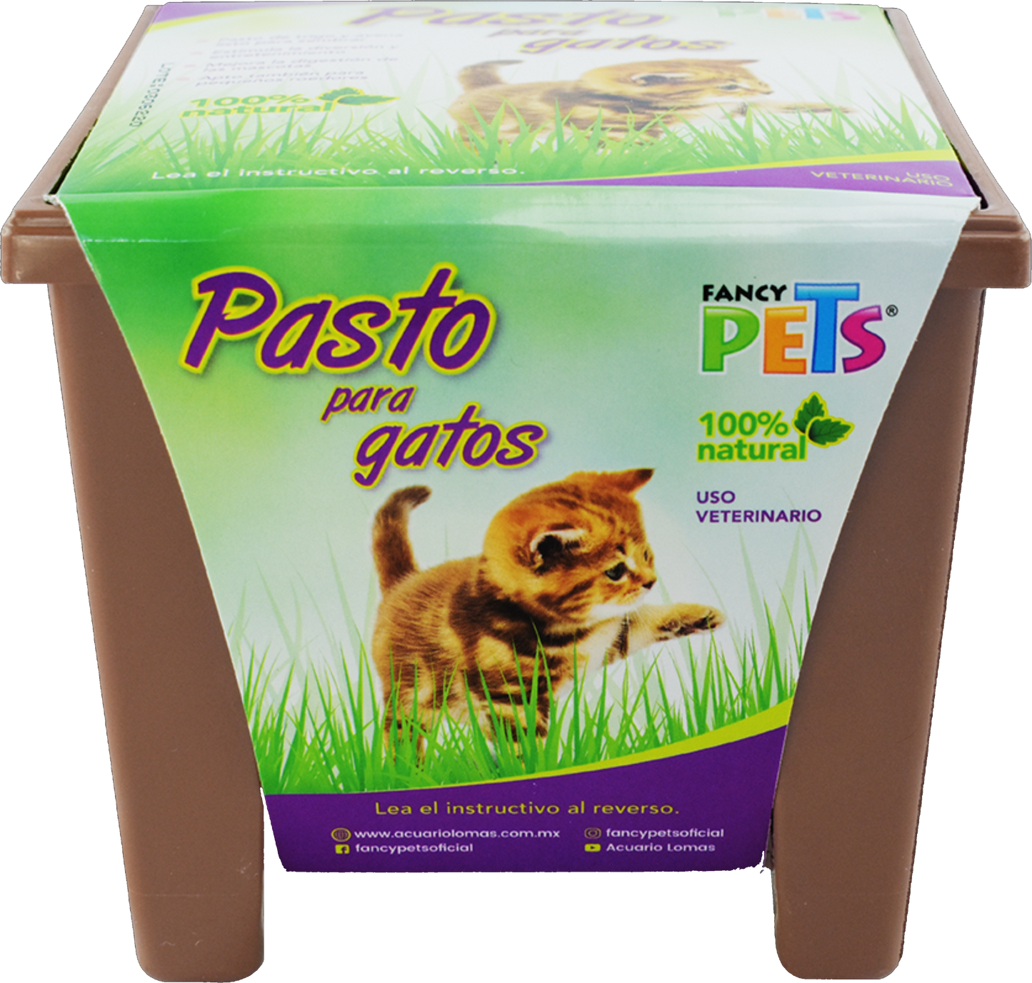 PASTO PARA GATOS