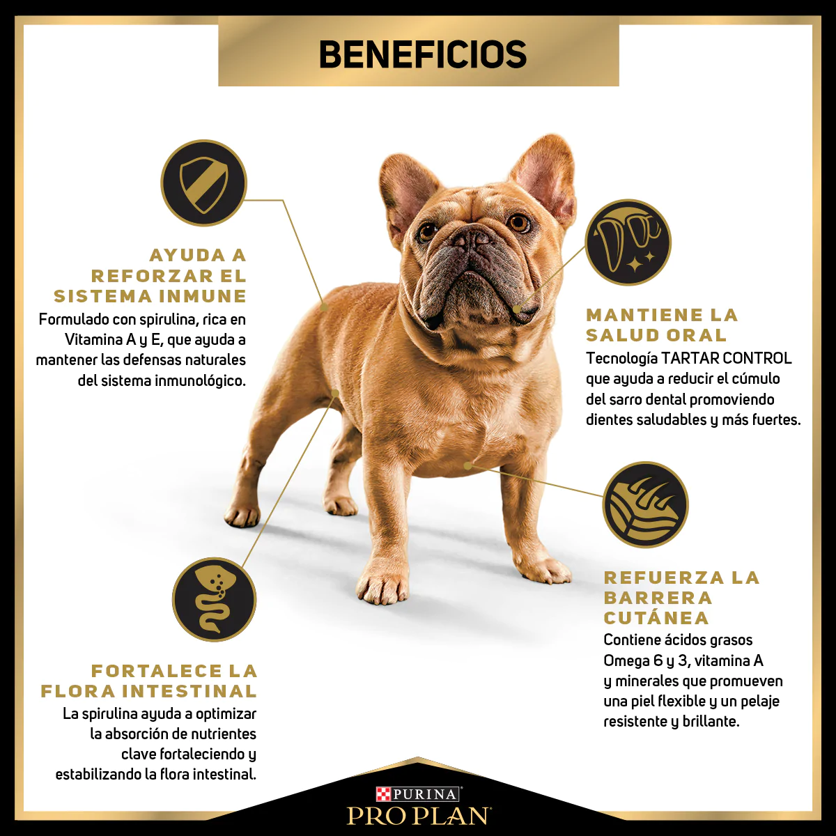 Alimento Pro Plan Adult Para Perros Adultos De Razas Pequeñas Optihealth Con Carne De Pollo