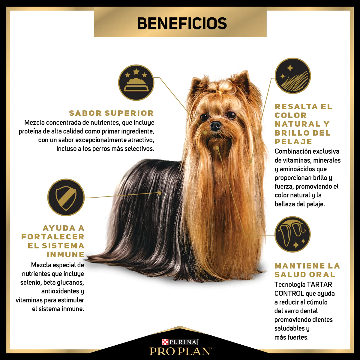 Alimento Pro Plan Exigent Para Perros Adultos De Razas Pequeñas Optienrich Con Carne De Pollo