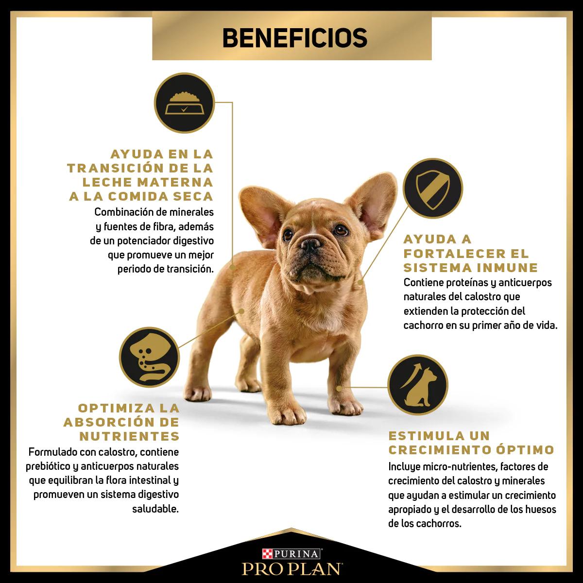 ALIMENTO PRO PLAN PUPPY PARA PERROS CACHORROS DE RAZAS PEQUEÑAS OPTISTART CON CARNE DE POLLO